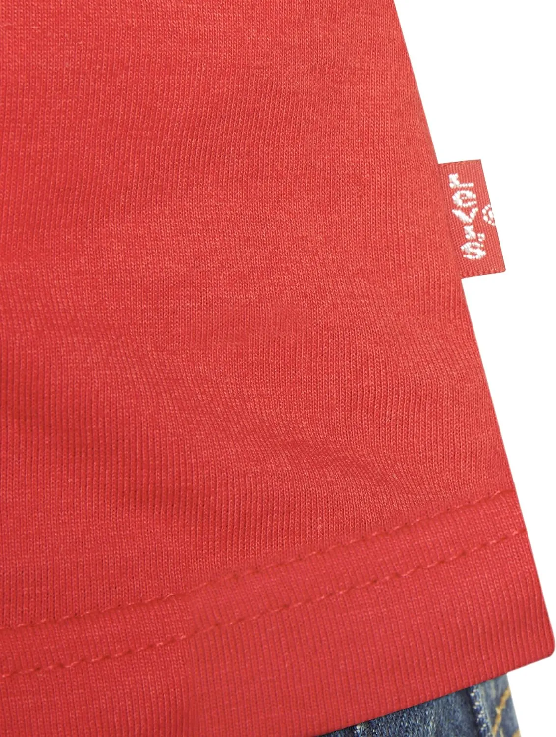 Levi's Boys' Classic Batwing T-Shirt