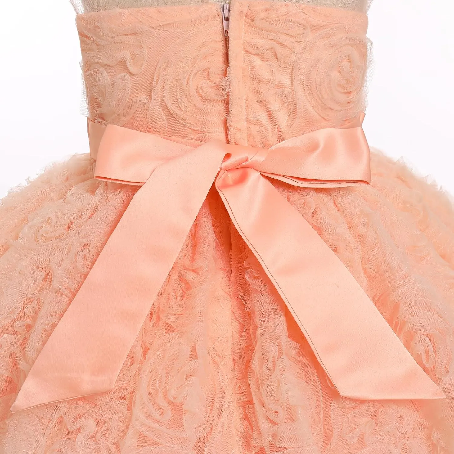 OBEEII Formal Dress Toddler Girls Pageant Dress Flower Girl Dress Wedding Elegant Bowknot Tutu Dress Birthday Communion Gown